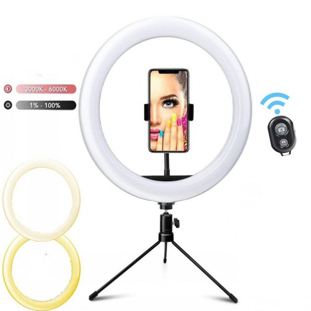 10 inch Selfie Ring Light