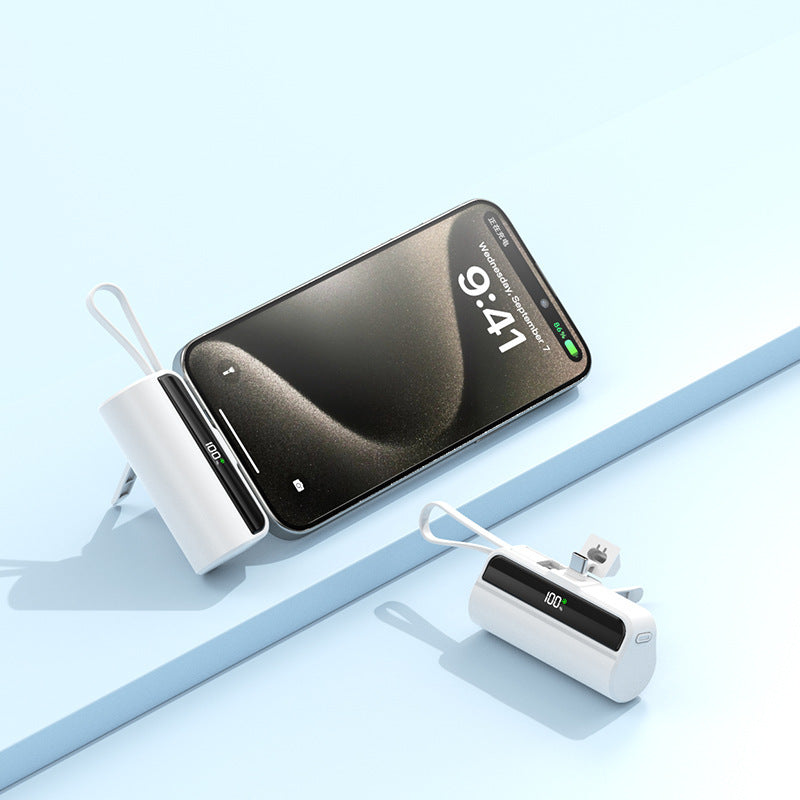 Fast Charge Capsule Power Bank